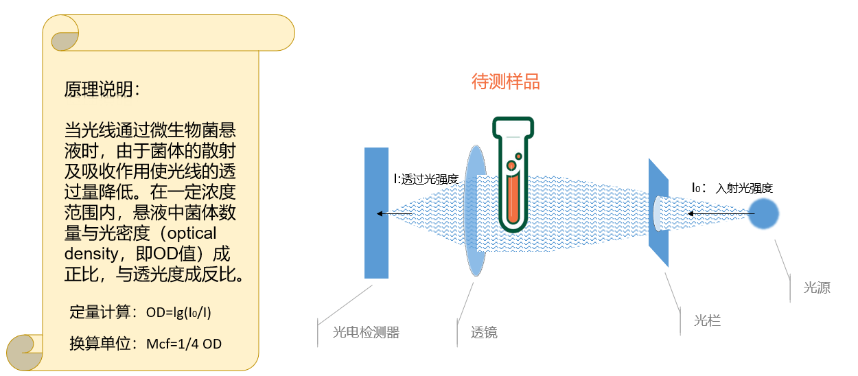 用于微生物检验的麦氏比浊仪 - 点成生物