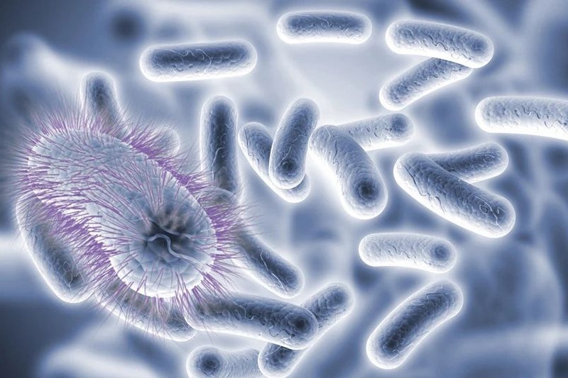 如何预防水浴中的军团菌污染？