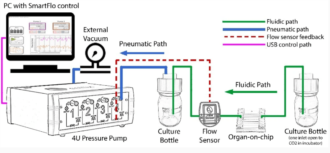 液滴生成和器官芯片？点成Microfluidic系统玩转微流控技术