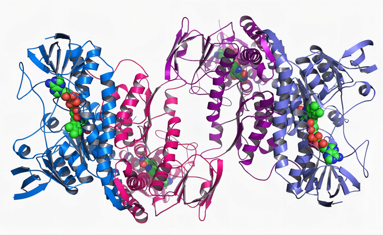 蛋白质浓度测定之考马斯亮蓝（Bradford）法