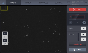 Autofocused Bacterial Cell Counting