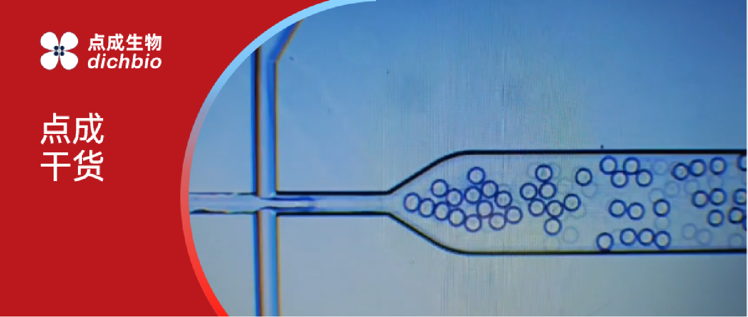 微流控专题| 点成Elveflow微流控系统实现单分散水包油液滴生成- 点成生物