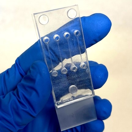 BF多线性通道芯片