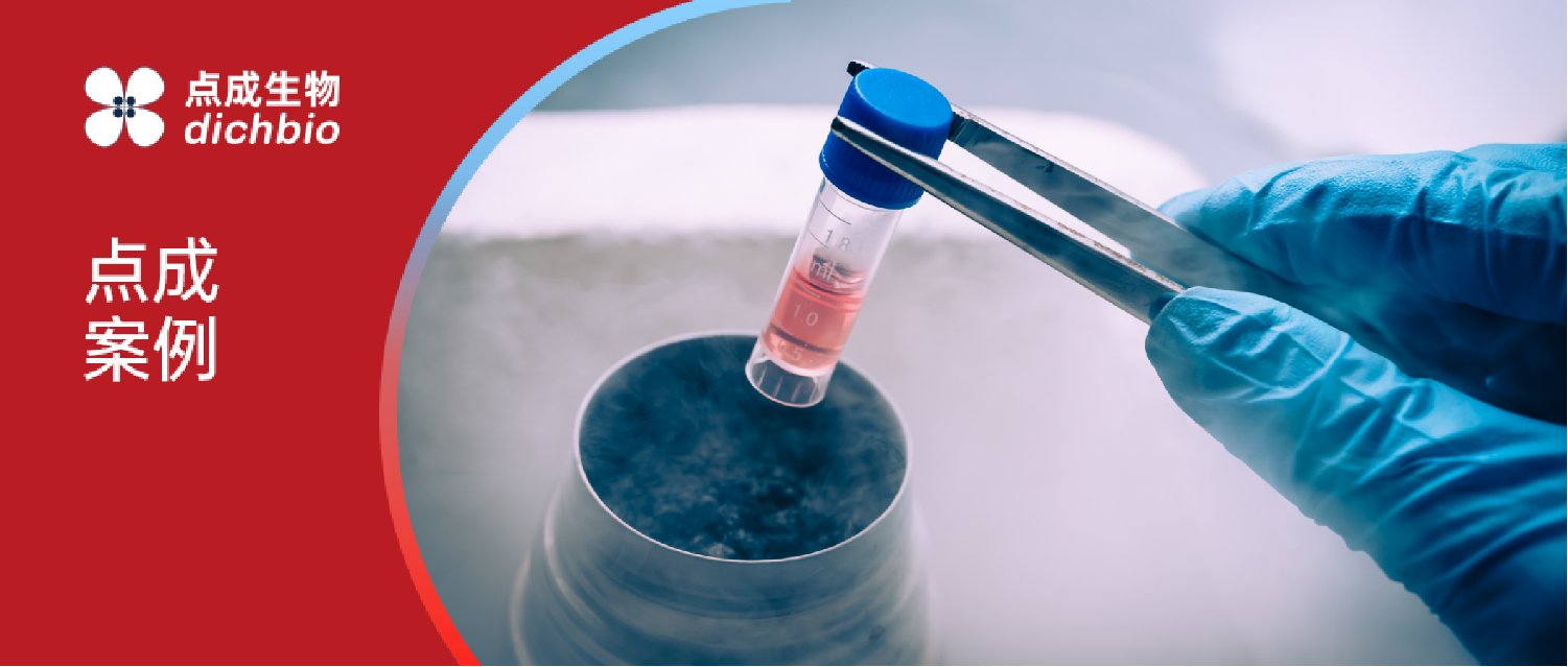 应用案例 | 93%超高复苏率!点成CRFT免液氮程序降温仪助力武汉某高校PBMC细胞冻存效率提升