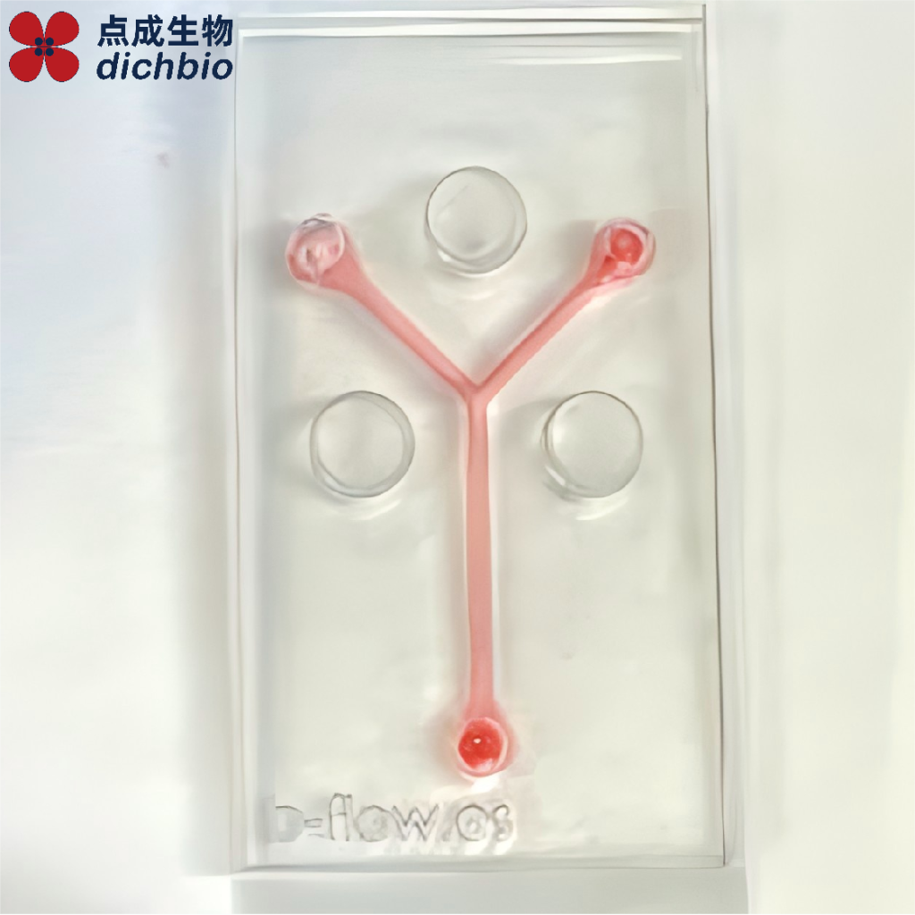 分叉式芯片上血管模型