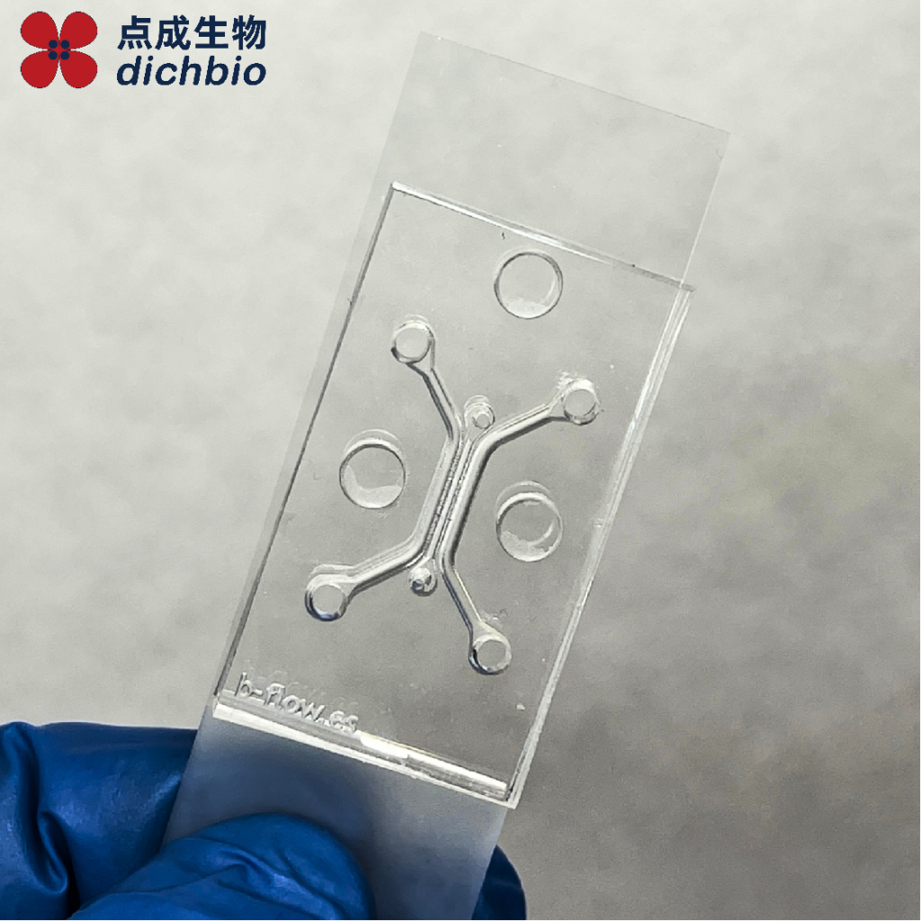 微血管屏障芯片