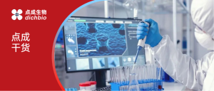 点成干货 | 精密的温度艺术：高精度实验室温控的技术逻辑与系统思维