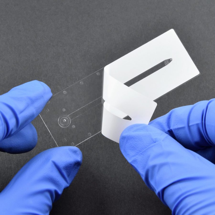 DSC_0542_verbessert2-scaled-900x900