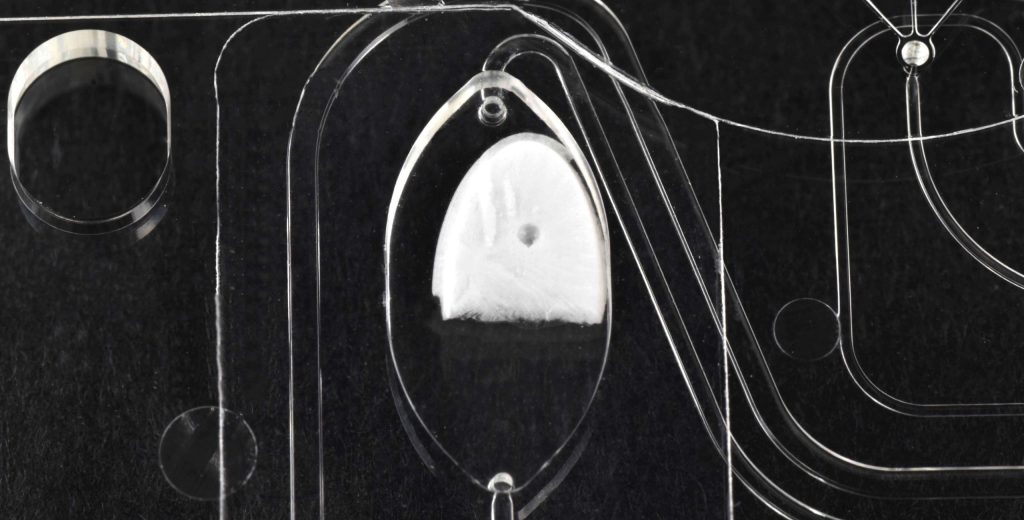 DSC_0587_verbessert2-1-scaled-2560x1300