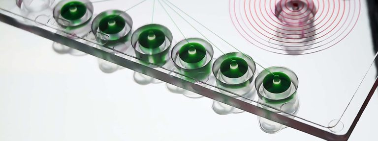 Spiral-sorter_lid-foil-1200x450