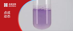 ​​​​点成干货 | 蛋白质浓度测定之双缩脲法（Biuret法）如何操作？