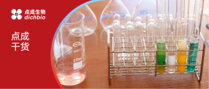 ​​点成干货 | Lowry法测定蛋白质浓度的原理与应用