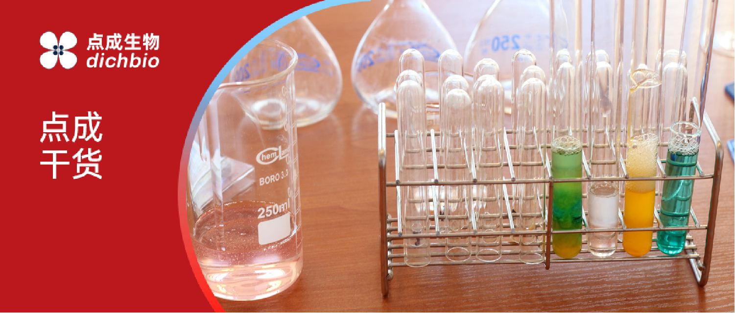 点成干货 | Lowry法测定蛋白质浓度的原理与应用