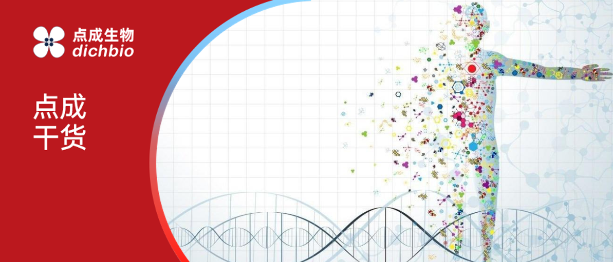 微流控专题 | 利用器官芯片实现精准医疗