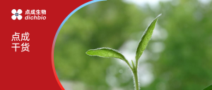 ​​​​点成干货 | 温度如何塑造种子的未来？探索萌发背后的科学利器