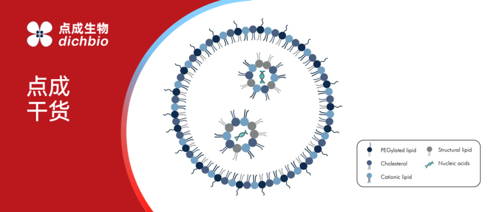 微流控专题 | 基于人字形混合芯片的脂质纳米颗粒微流控制备技术